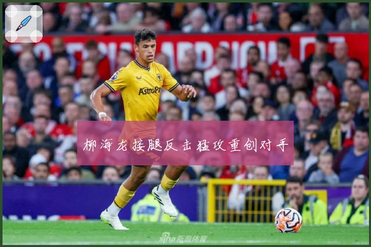 柳海龙接腿反击猛攻重创对手