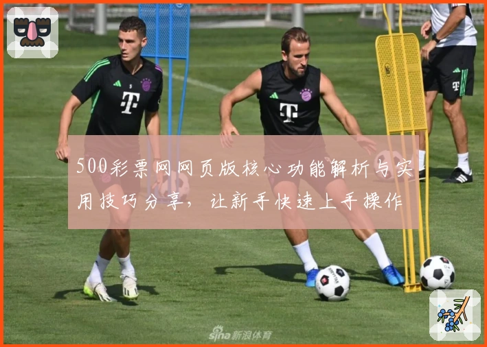 500彩票网网页版核心功能解析与实用技巧分享，让新手快速上手操作体验