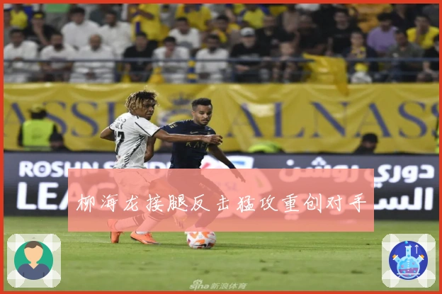 柳海龙接腿反击猛攻重创对手