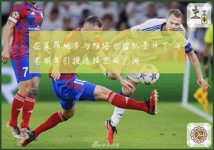 在莱昂纳多与维塔尔留队条件下 海港明年引援选择空间广阔