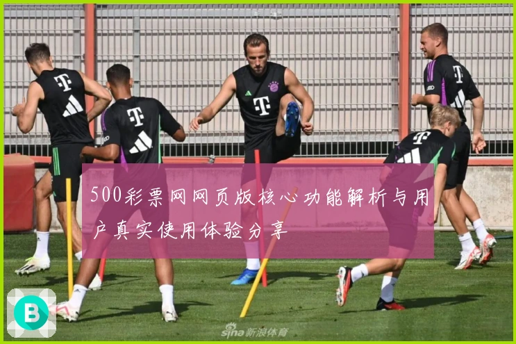 500彩票网网页版核心功能解析与用户真实使用体验分享