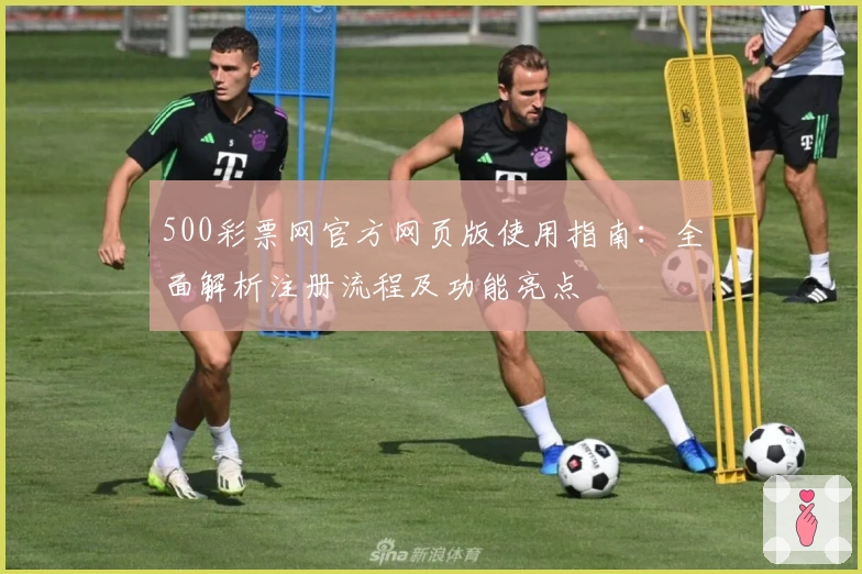 500彩票网官方网页版使用指南：全面解析注册流程及功能亮点