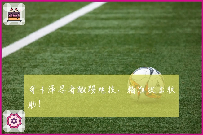 奇卡泽忍者蹴踢绝技，精准攻击软肋！